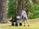 Mighty Carts Garden Cart Heavy Duty 170L — image 6