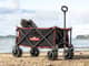 Mighty Carts Folding Beach Cart Black — image 1
