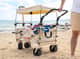 Mighty Carts Safari Beach Cart with Awning — image 7
